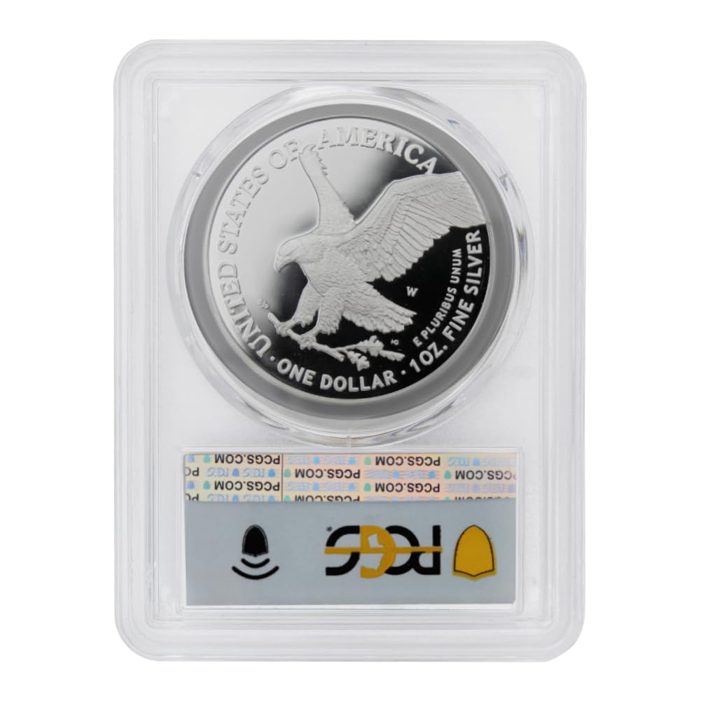 1 oz American Silver Eagle Coin G9820