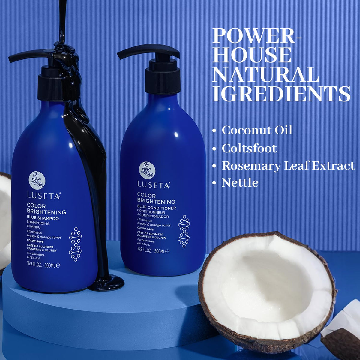 Blue Shampoo & Conditioner Set 2x16.9oz X263