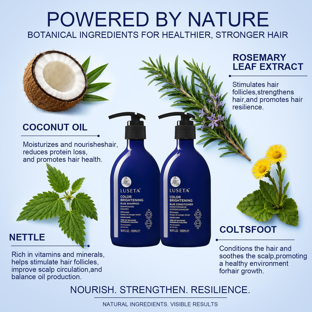 Blue Shampoo & Conditioner Set 2x16.9oz X263
