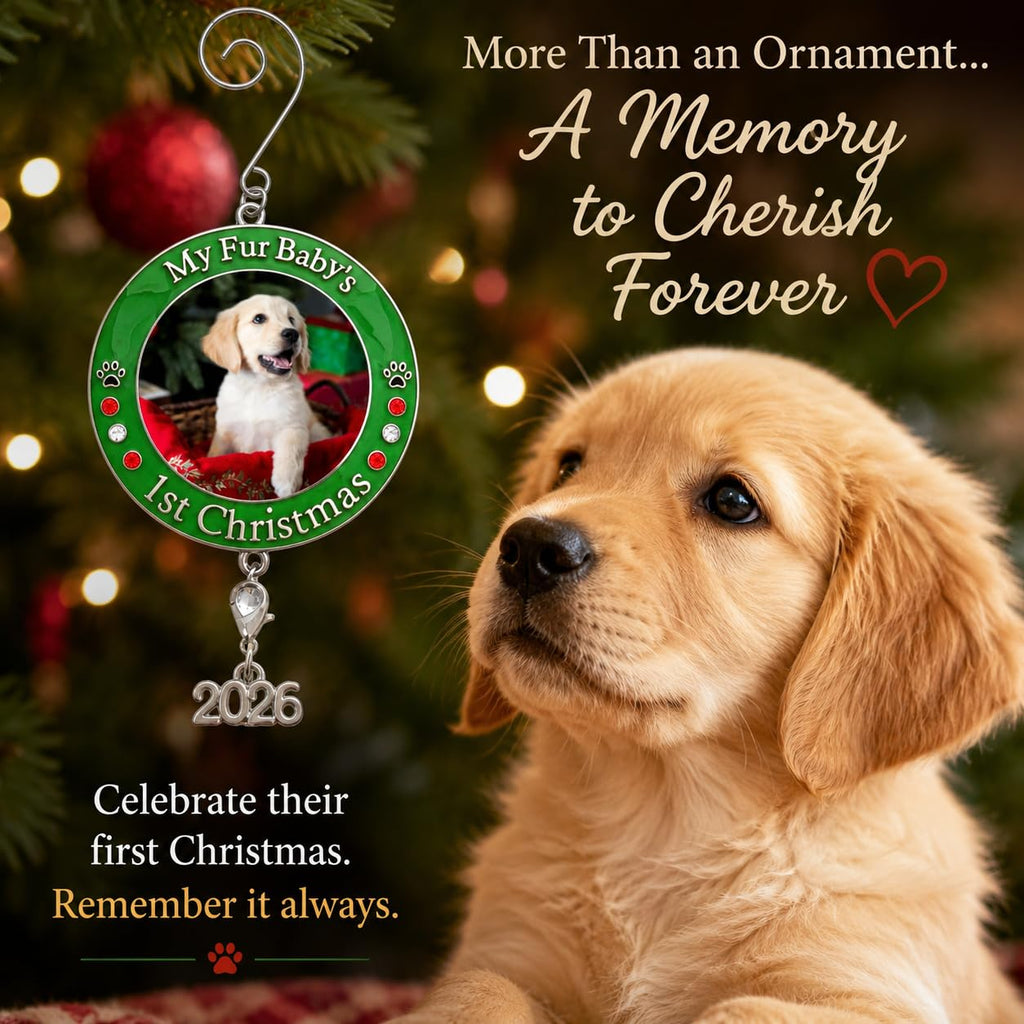 Dog Christmas Photo Ornament 3-Pack 3 Inch B9288