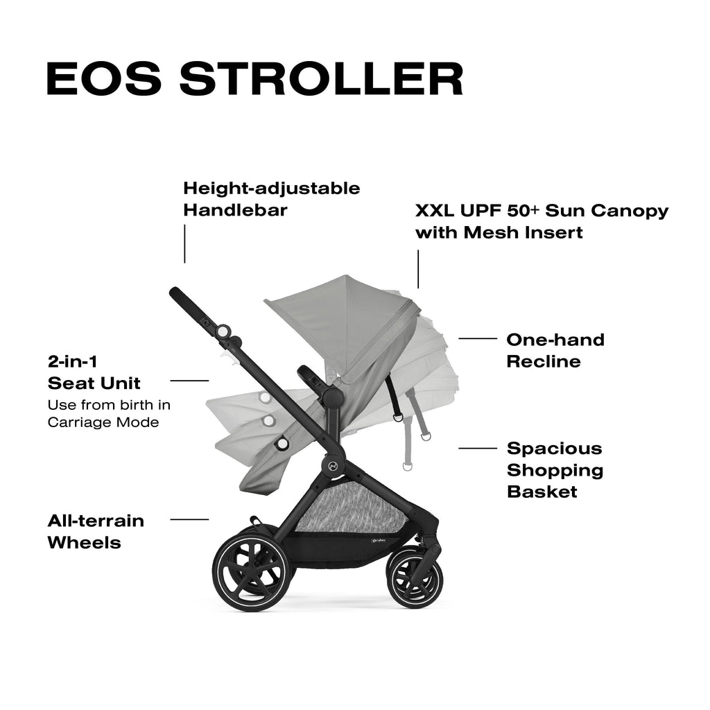 2-in-1 Baby Stroller C522