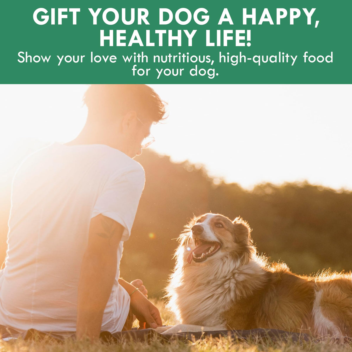 Plant-Based Dog Food Toppers Supplement Powder 50g C1051