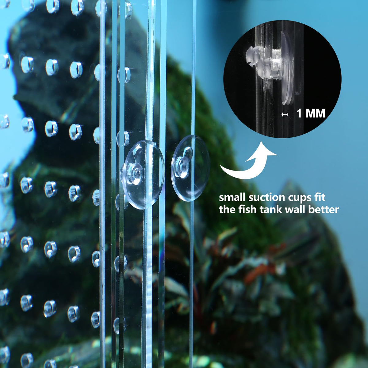 Acrylic Fish Tank Divider with Suction Cups C6272