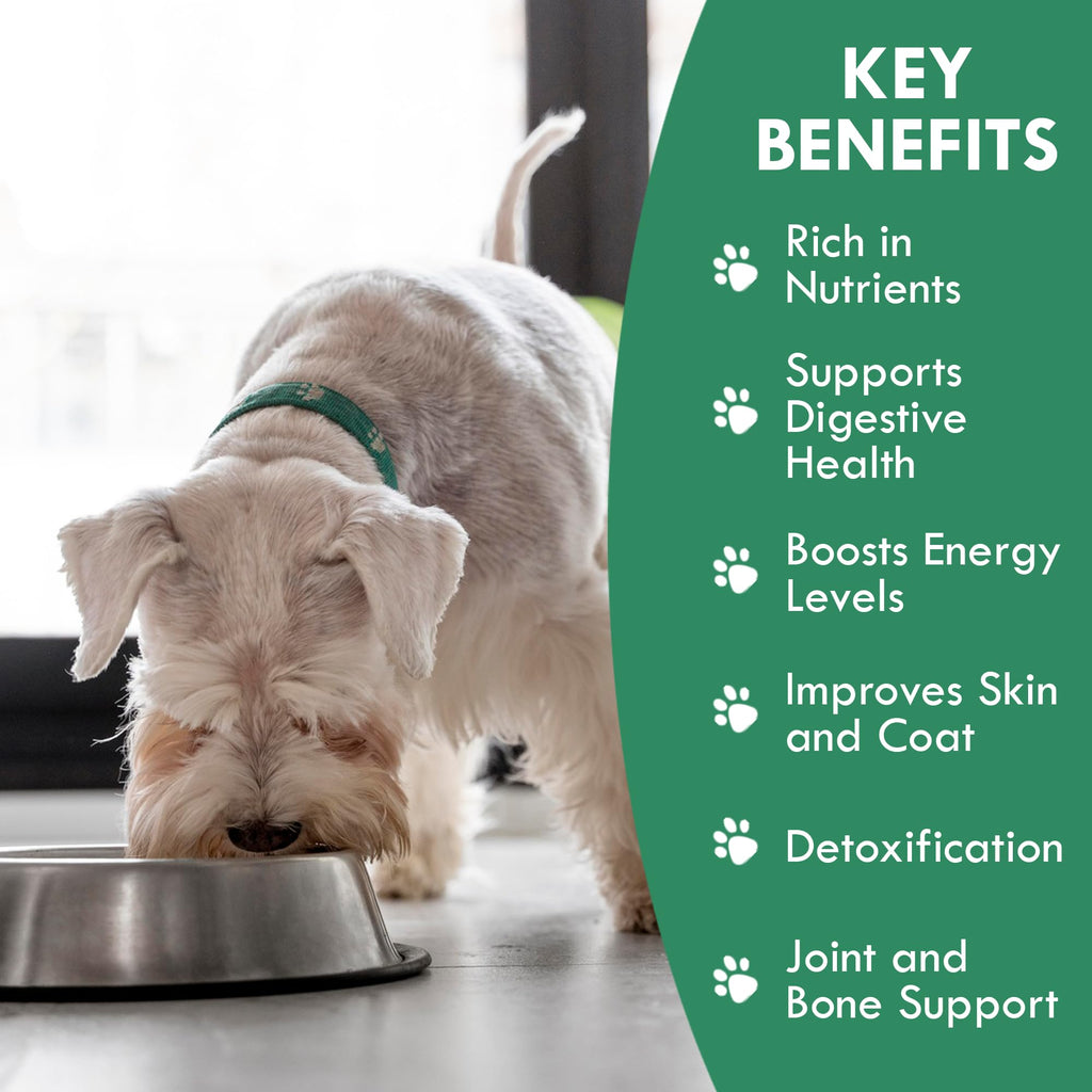 Plant-Based Dog Food Toppers Supplement Powder 50g C1051