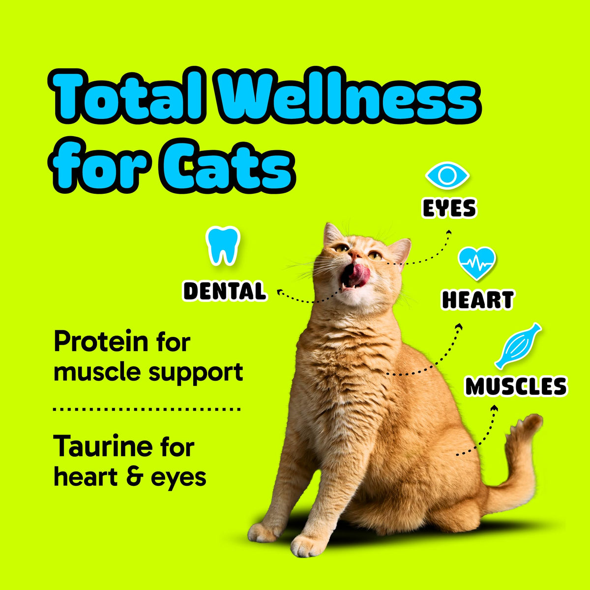 Cat Dental Chew Stick Bites Supplement with Taurine R69300