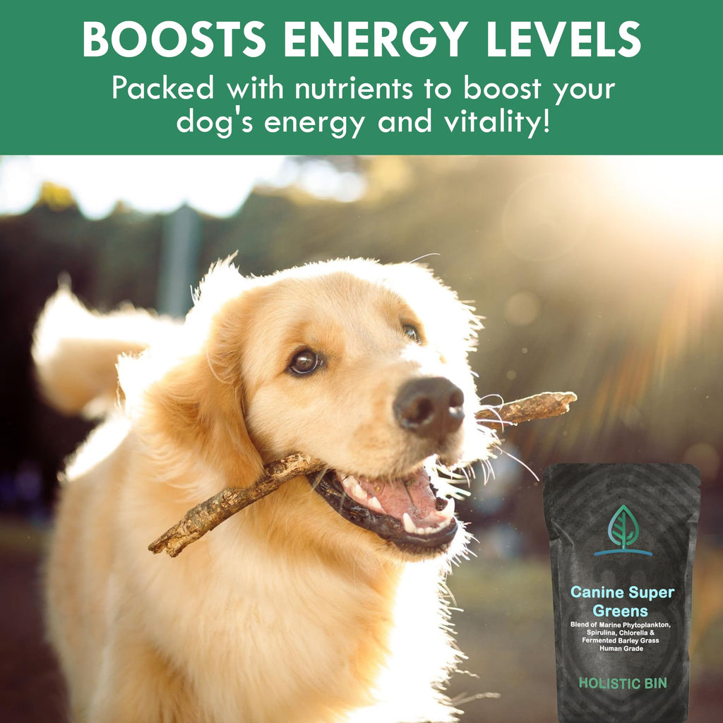 Plant-Based Dog Food Toppers Supplement Powder 50g C1051