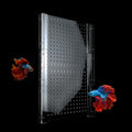 Acrylic Fish Tank Divider with Suction Cups C6272