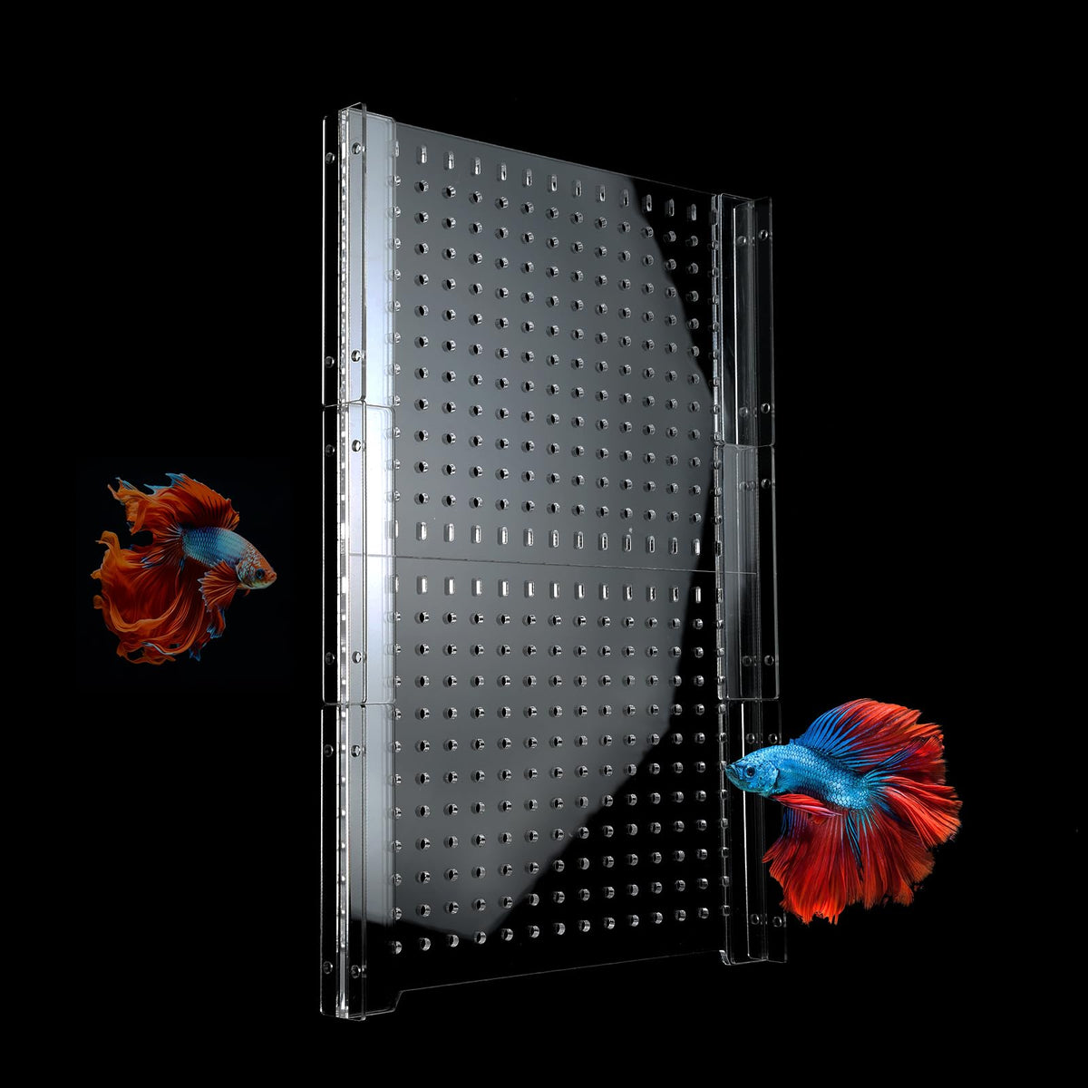 Acrylic Fish Tank Divider with Suction Cups C6272