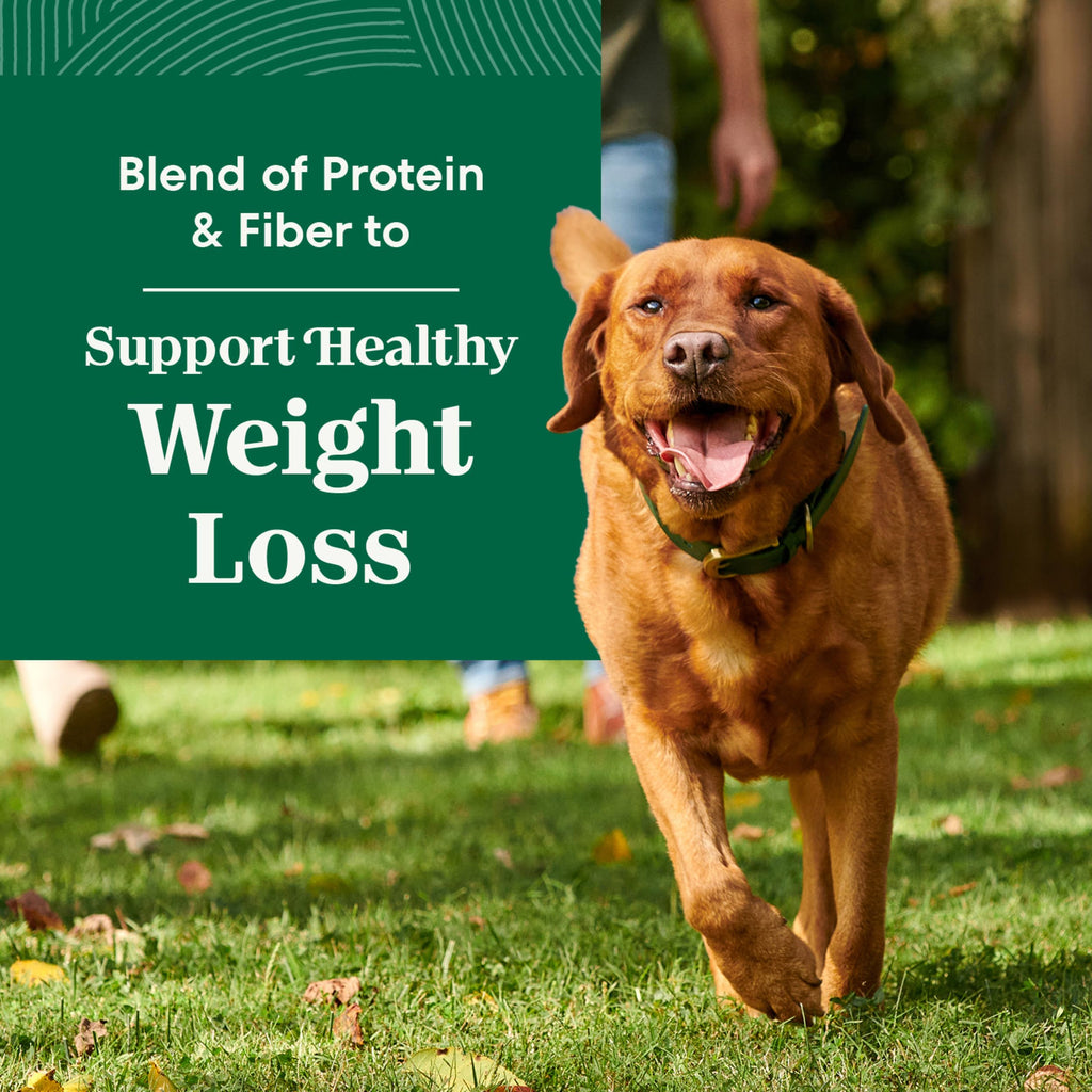 Healthy Weight Chicken & Rice Dry Dog Food 30 lb W153402