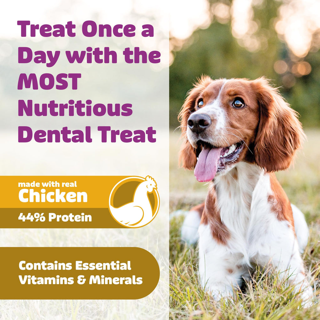Chicken Dog Dental Treats 24oz & 36 oz I398