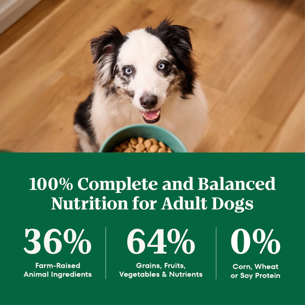 Healthy Weight Chicken & Rice Dry Dog Food 30 lb W153402