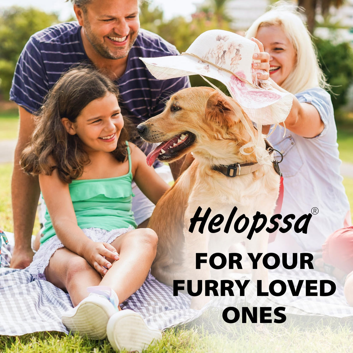 Natural Flea & Tick Chews for Dogs A279930