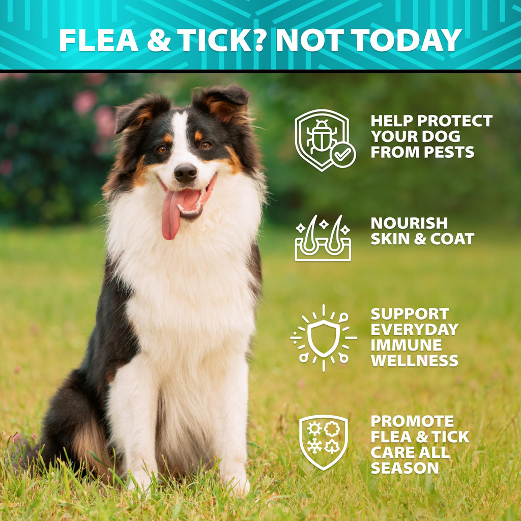 Natural Flea & Tick Chews for Dogs A279930