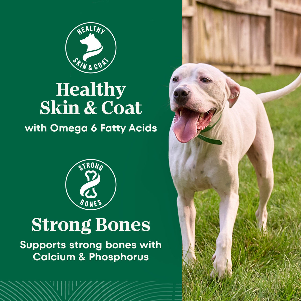 Healthy Weight Chicken & Rice Dry Dog Food 30 lb W153402
