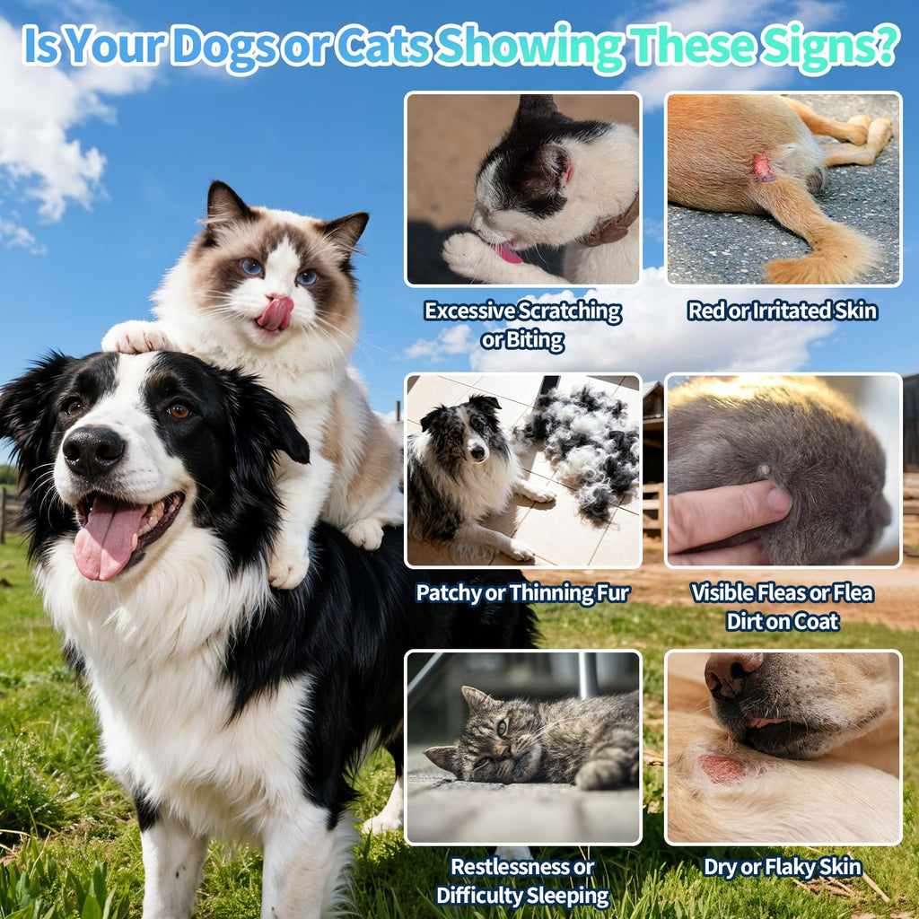 Natural Oral Flea and Tick Drops with Multivitamin for Pets Z151045