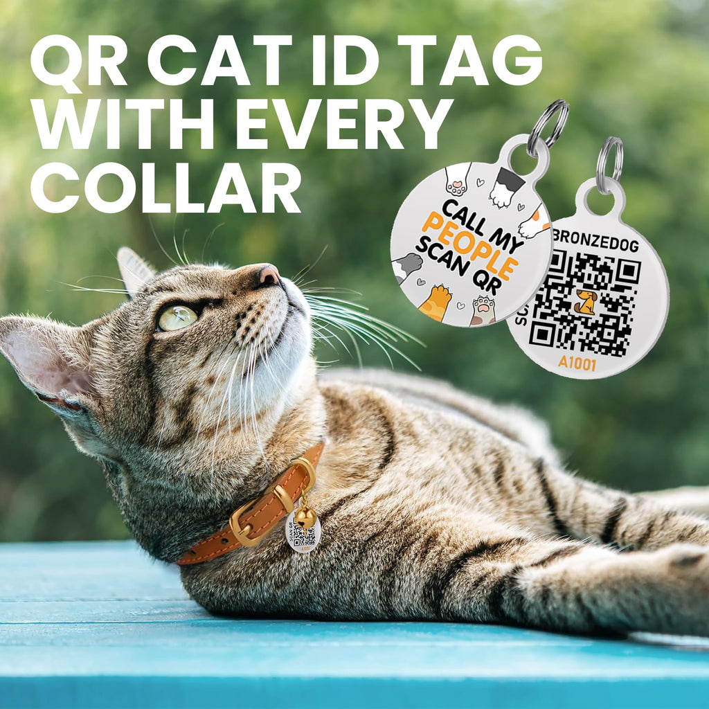 Black Gold Leather Cat Collar with Removable Bells T50682