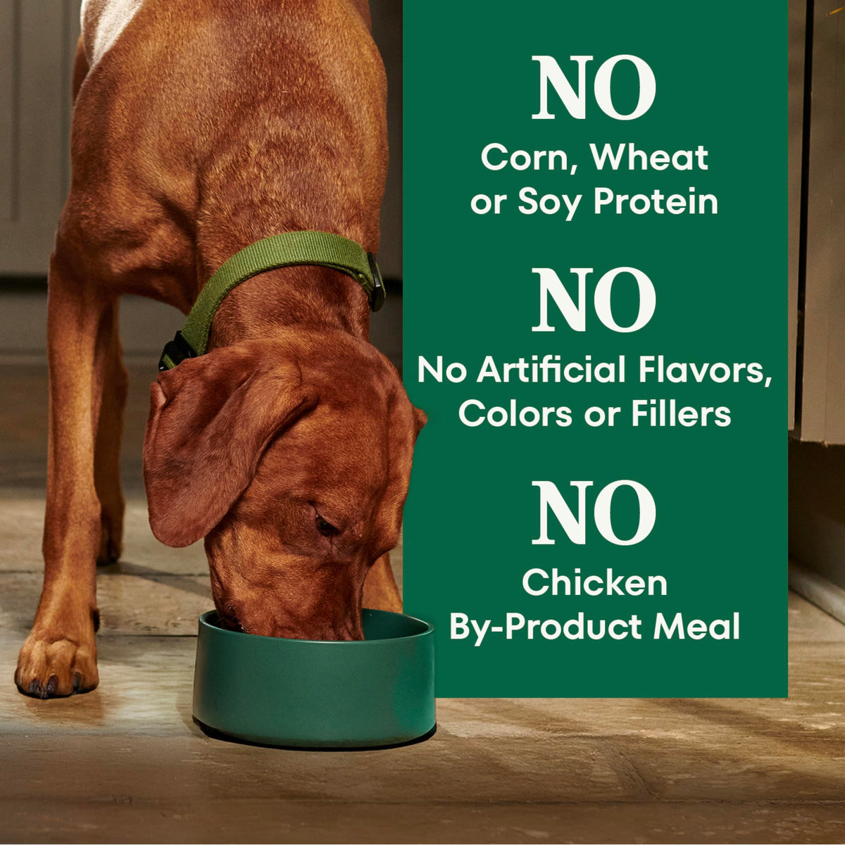 Healthy Weight Chicken & Rice Dry Dog Food 30 lb W153402